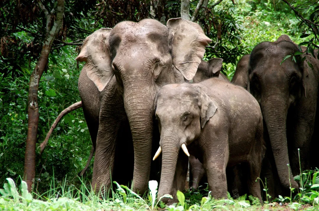 图片关键词 图片