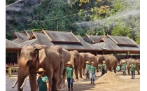 我是济南人，去了趟西双版纳野象谷，忍不住说6个真实印象。
