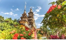 只有西双版纳能遇见,&ldquo;全球独一无二&rdquo;绝无仅有,这10大奇景