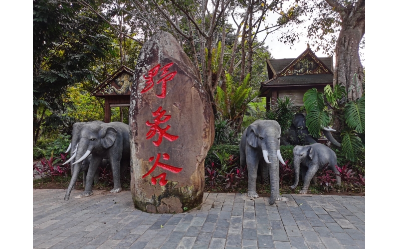 西双版纳野象谷风景区