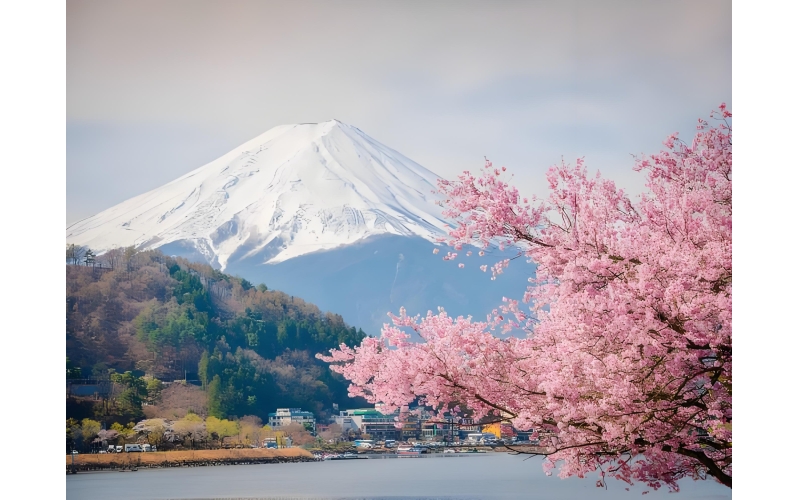 日本右翼政客正在将日本经济推入泥潭