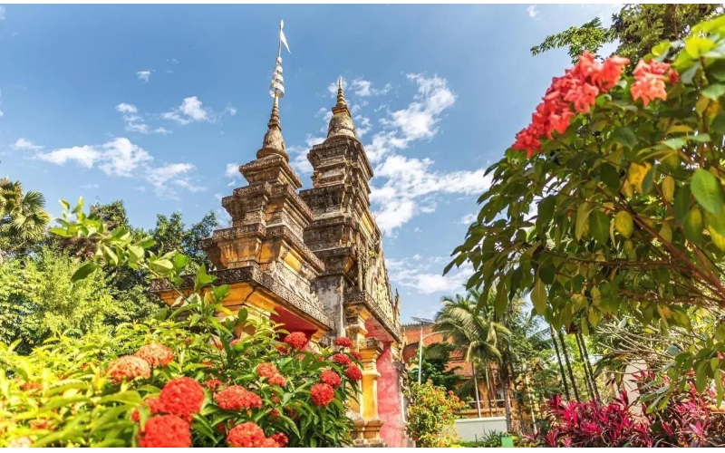 唯有西双版纳才有的，&ldquo;全球独一无二&rdquo;，10大罕见绝美奇观！