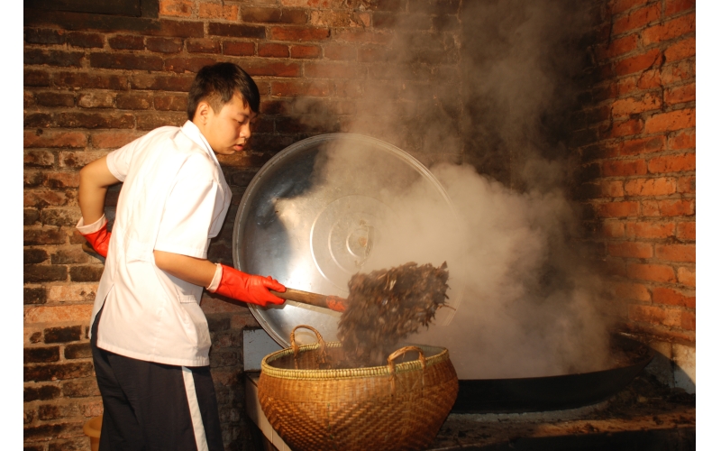 国家级非物质文化遗产代表性项目名录&ldquo;傣医药（睡药疗法）&rdquo;