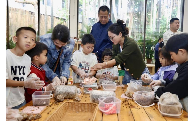 西双版纳热带花卉园春节人气爆棚 营收同比翻番